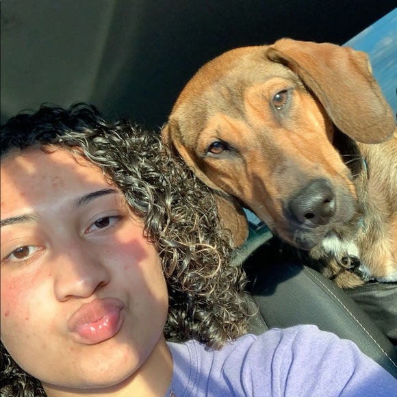 Meet your Posher, Chelsea - Picture 1 of 1